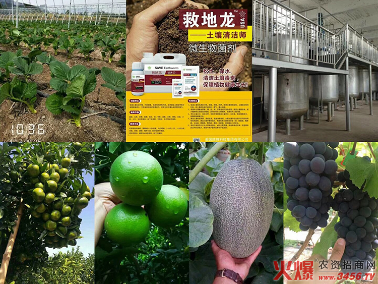 ������������Ƽ����޹�˾