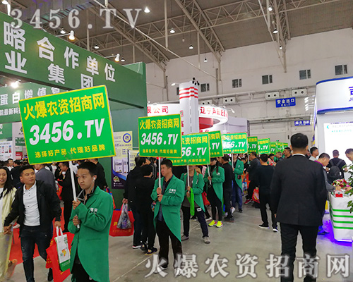 ���r(n��ng)�Y���̾W(w��ng)�ّ�(zh��n)2019���L(zh��ng)��ֲ����(hu��)��