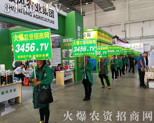 �R�������������2019�L(zh��ng)���r(n��ng)�Y��(hu��)��