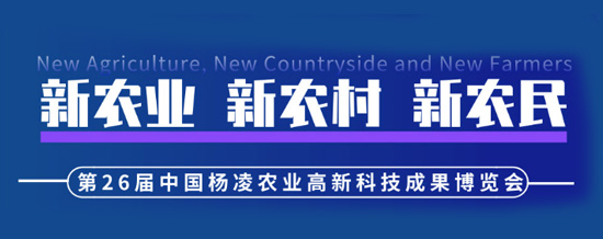 2019�����r(n��ng)�ߕ�(hu��)�r(sh��)�g������