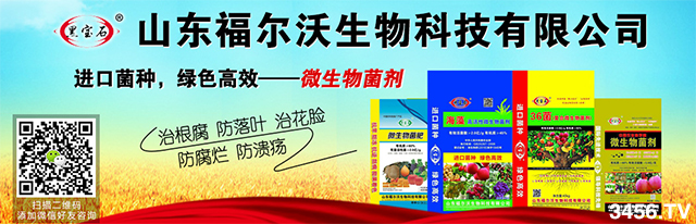 �y�ֲ��M(j��n)�����A�̙C(j��)����ϲɽ�|�����������ٶ��m(x��)�s���r(n��ng)�Y�W(w��ng)��