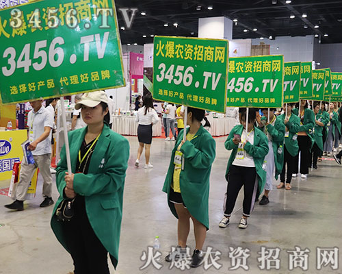 ���r(n��ng)�Y���̾W(w��ng)�ľ�Ӣ�����¿�����������