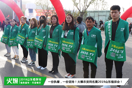 ��������Ч�������r�Y���̾W(w��ng)���ݳ���2019ɽ�|ֲ������