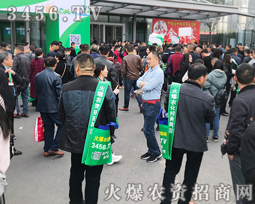 �����C�����f(w��n)���Ƽ���3456.TV����2019ɽ�|ֲ����(hu��)��