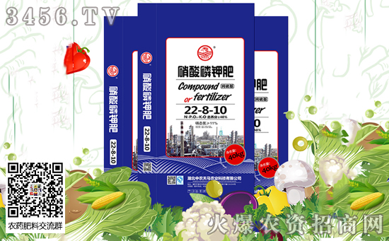 2019��11��12�Շ�(gu��)��(n��i)⛷ʃr(ji��)�������߄�(sh��)