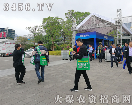 ���r�Y�W��־���P�����鞢�M2019ֲ������