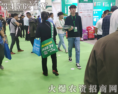 2019ֲ�������r�Y�W�Gɫ�h(hu��n)�������܅�չ�̚gӭ��