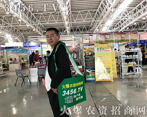 ��־���P����(zh��n)�������r(n��ng)�Y�W(w��ng)����(zh��n)2019ֲ������