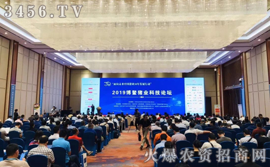 2019�격���i�I(y��)�Ƽ�Փ���A�M��Ļ������δ��(l��i)