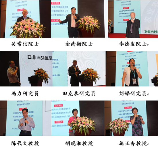 2019�격���i�I(y��)�Ƽ�Փ���A�M��Ļ������δ��(l��i)