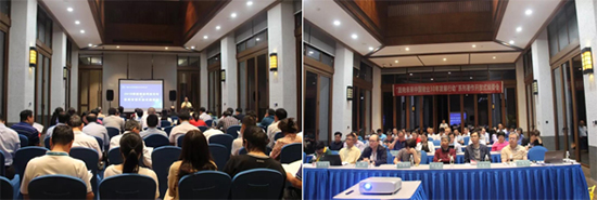 2019�격���i�I(y��)�Ƽ�Փ���A�M��Ļ������δ��(l��i)