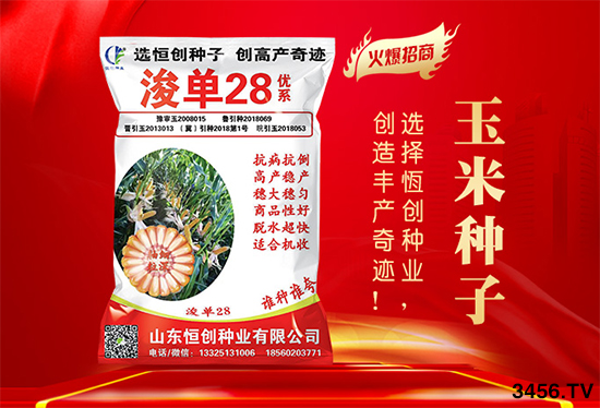 ����ُ�N�����R�����N����ʲô]��������һ�ӵ��x�N������