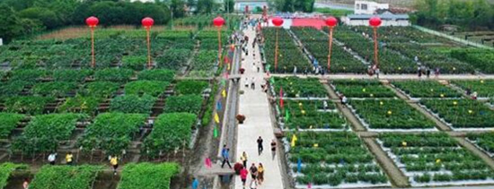 2020�����r(n��ng)�Y���[���ճ��e�k���^��ļ������ȫ�憢����