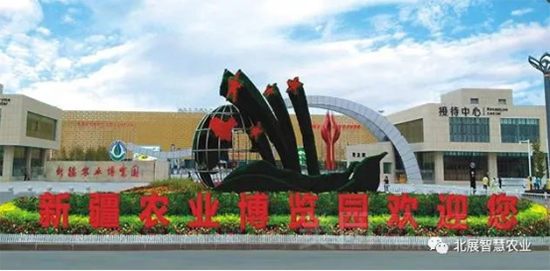 �����z·�N�I(y��)�l(f��)չ��2020�½������N����7��?li��n)P����