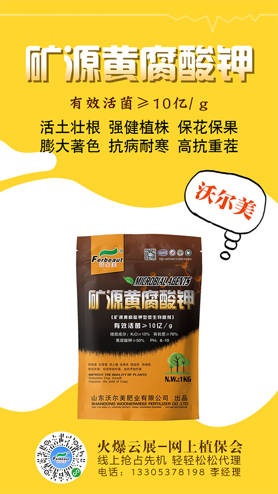 ����⛶���(sh��)��r��2650Ԫ/��������������S�̈�r2020-5-26