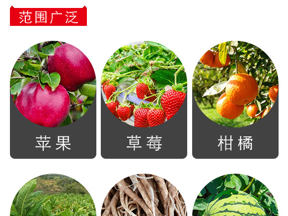 ֲ�����˪-������