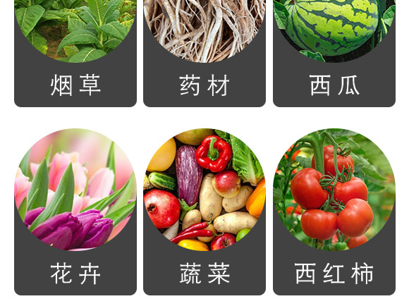 ֲ�����˪-������