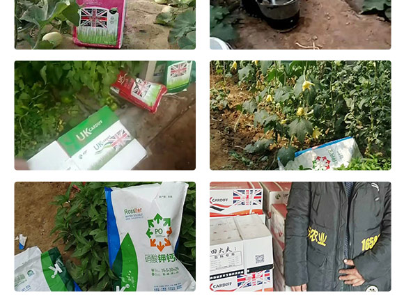 英国卡��_夫（北京�Q�农业科技有限公司产品_08.jpg