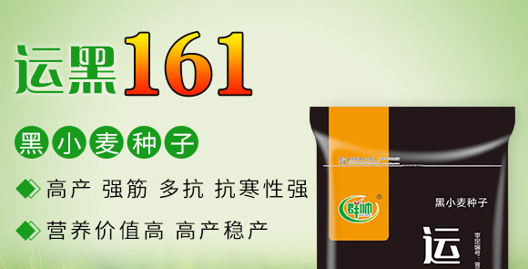 �\(y��n)��161-��С���N��