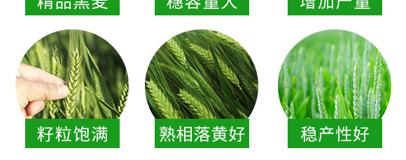 �\(y��n)��161-��С���N��