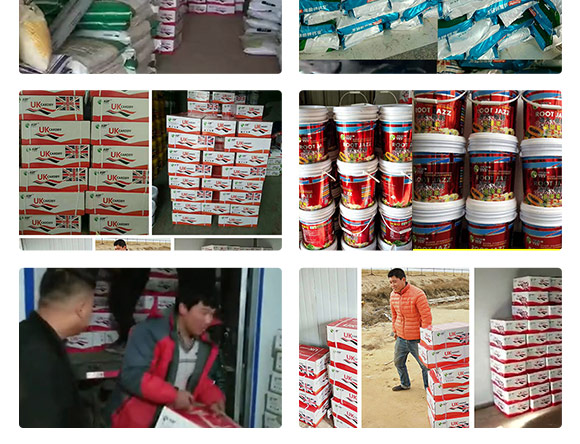 鑻卞浗鍗¤開澶紙鍖椾含錛夊啘涓氱鎶鏈夐檺鍏徃浜у搧2_10.jpg 鑻卞浗鍗¤開澶紙鍖椾含錛夊啘涓氱鎶鏈夐檺鍏徃浜у搧2_10.jpg