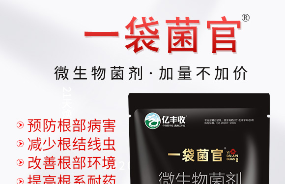 ΢�������-һ������-����̩