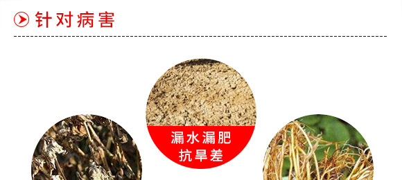 ΢�������-һ������-����̩