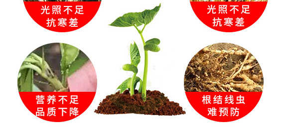 ΢�������-һ������-����̩