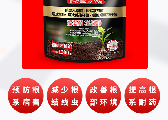 ΢�������-һ������-����̩