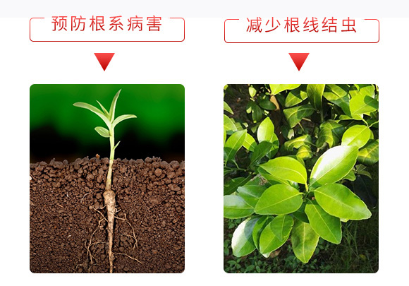 ΢�������-һ������-����̩