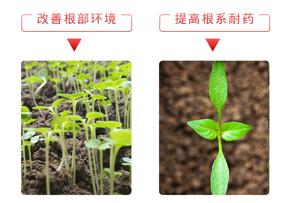 ΢�������-һ������-����̩