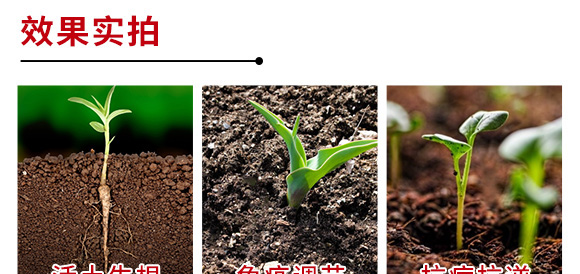 進(jìn)口果頓普蓓特種肥料海藻素、生物刺-亞瑟夫 進(jìn)口果頓普蓓特種肥料海藻素、生物刺-亞瑟夫