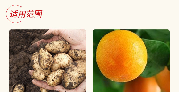 �߿�1̖(h��o)�����r(n��ng)��΢���������-����S