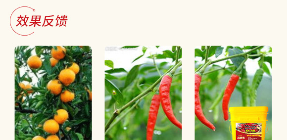 �߿�1̖(h��o)�����r(n��ng)��΢���������-����S