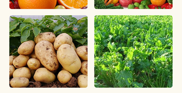 ������-����S