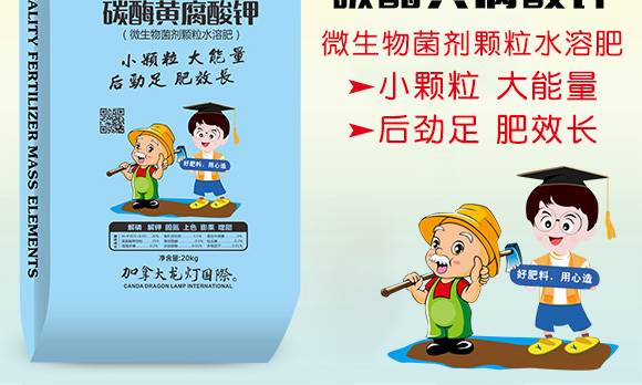 ̼ø�S�����-������-����