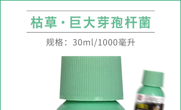 30ml�ݲݡ�ѿ�ߗU��-���t(y��)��-������