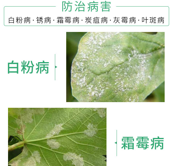 30ml�ݲݡ�ѿ�ߗU��-���t(y��)��-������