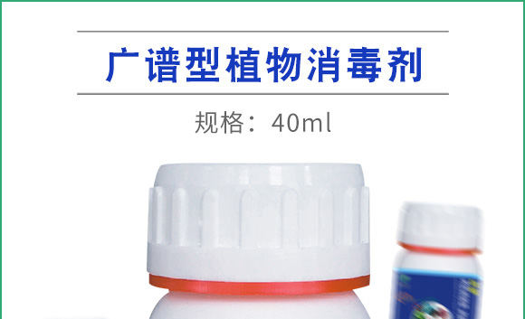 �V�V��ֲ�-⁘O-������