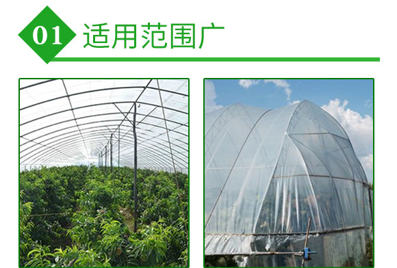 ����ý��؄�-����-�փ|��