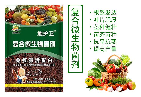 ��(f��)��΢�������-���o(h��)�l(w��i)-����