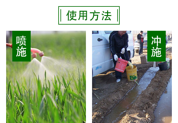 ��(f��)��΢�������-���o(h��)�l(w��i)-����