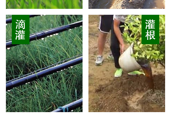 ��(f��)��΢�������-���o(h��)�l(w��i)-����