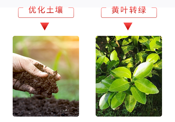 ΢�������-������-����̩