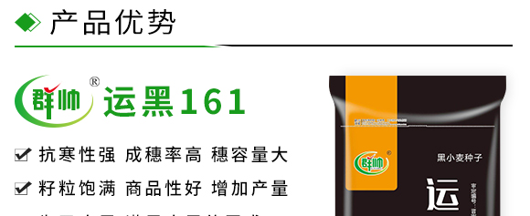 �\(y��n)��161-��С���N��