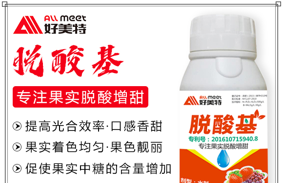 Ó���-������