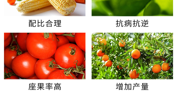 50kg��(f��)�Ϸ���25-14-6-��֩��-������