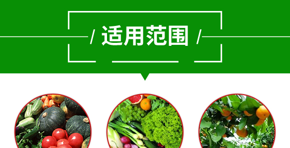 50kg��(f��)�Ϸ���25-14-6-��֩��-������