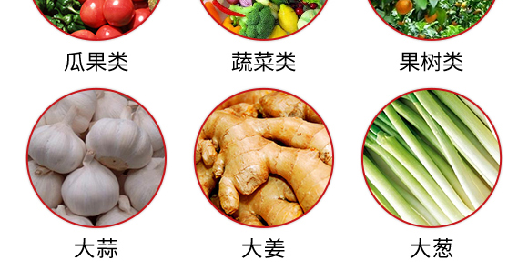 50kg��(f��)�Ϸ���25-14-6-��֩��-������