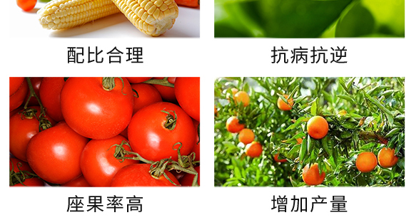 ��(f��)�Ϸ���27-13-10-��֩��-������